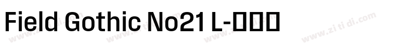 Field Gothic No21 L字体转换